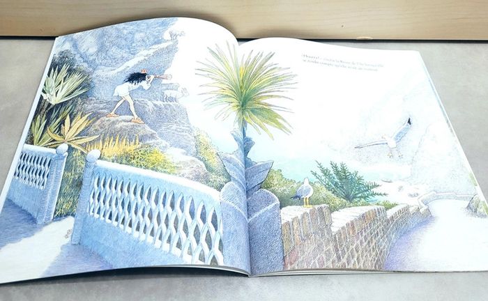 🌺 Livre (école des loisirs) : Le chapitaine - photo numéro 3