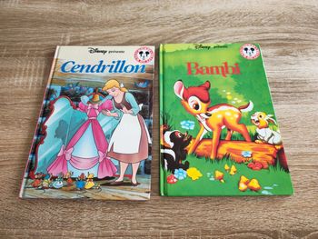 Lot 2 livres Disney