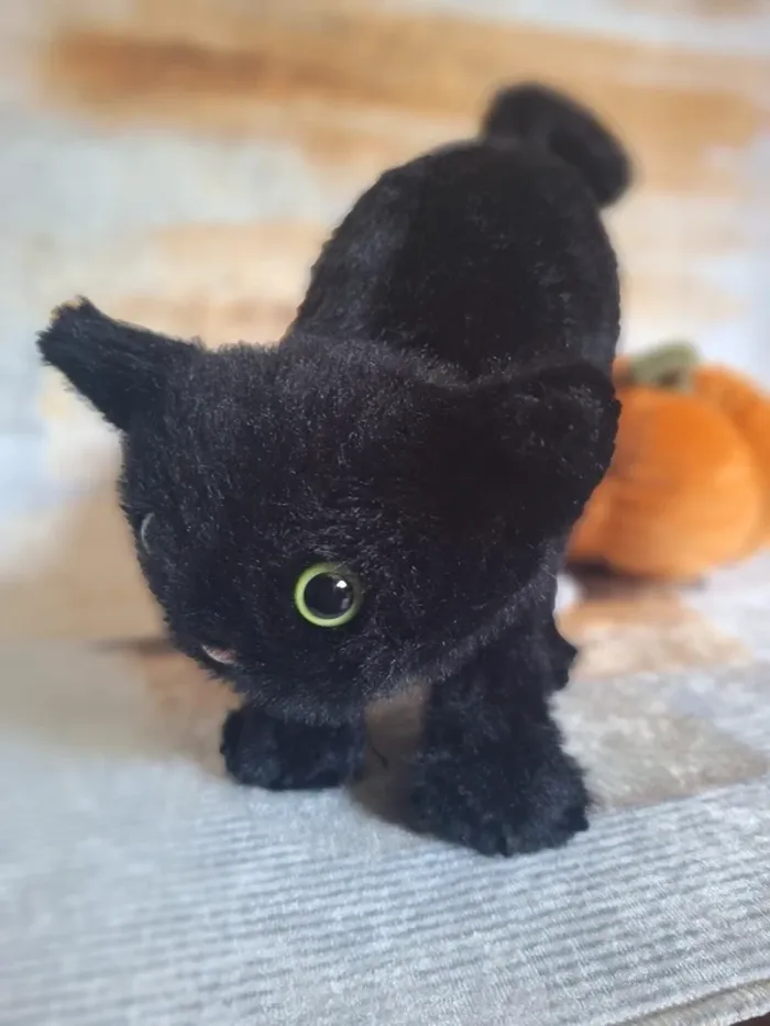 Spookipaws Cat jellycat - photo numéro 4