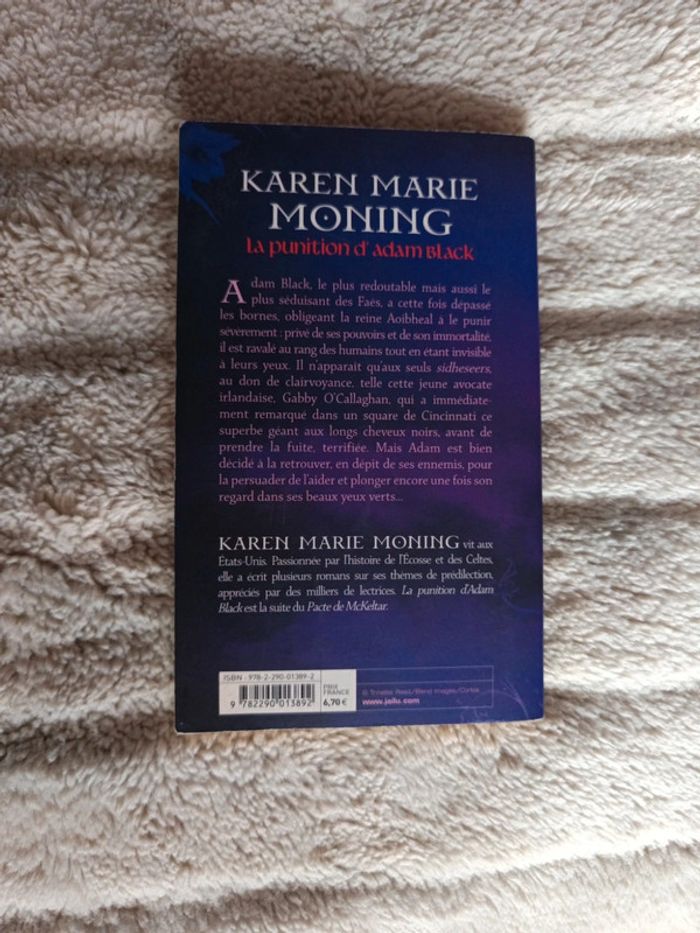 La punition d'Adam Black - photo numéro 2