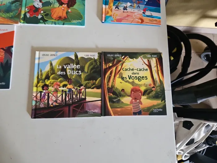 Livres macdo - photo numéro 4