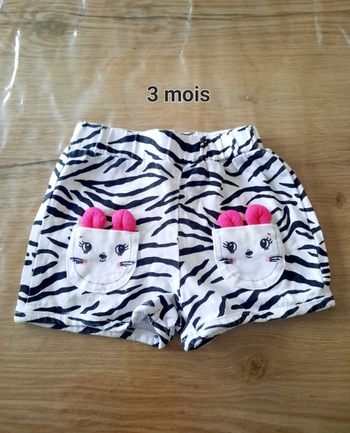 Short kitchoun