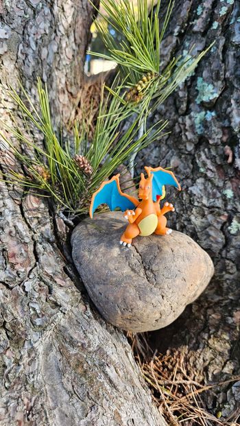 Super figurine Pokemon Nintendo tomy Dracaufeu