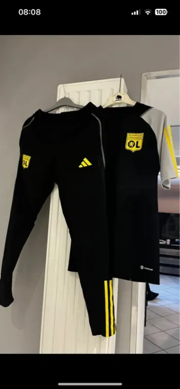Ensemble olympique lyonnais