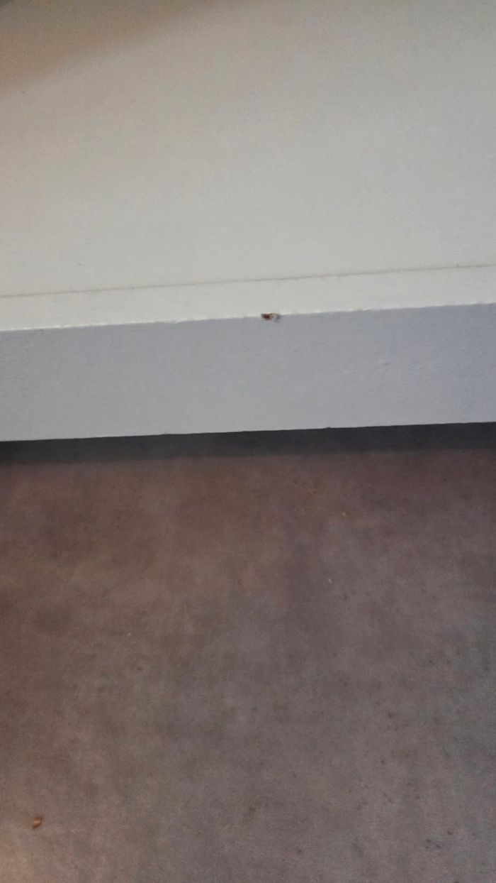 Table à langer - photo numéro 9