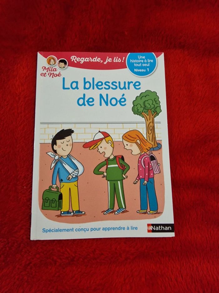 Livre regarde je lis mila et noé, la blessure de noé