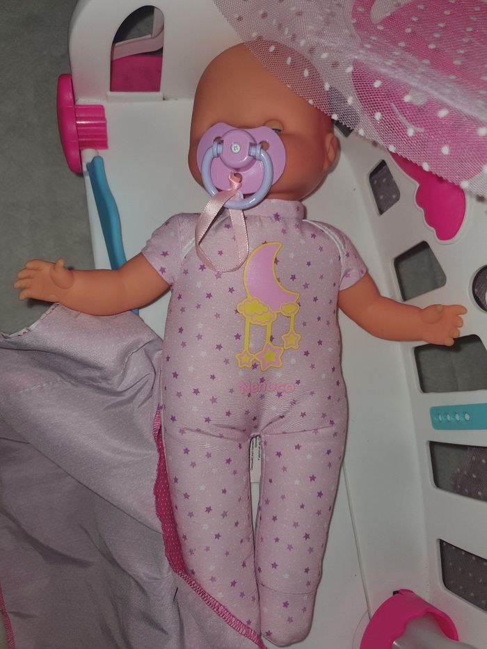 Cododo nenuco - photo numéro 2