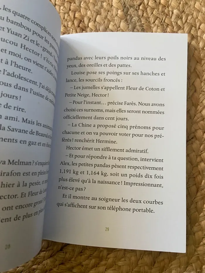 Livre Soigneurs Juniors Les jumelles pandas 🐼 - photo numéro 4