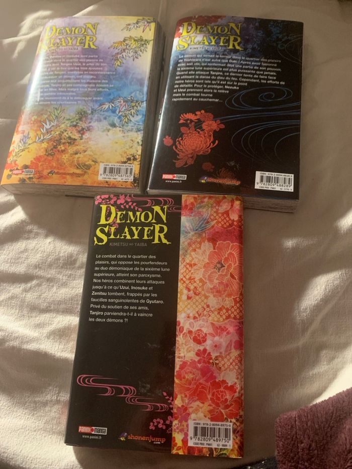 Manga - photo numéro 2