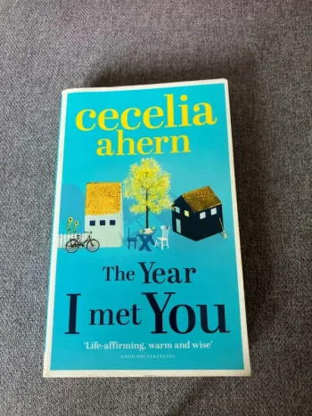 Livre en anglais In the year I met you