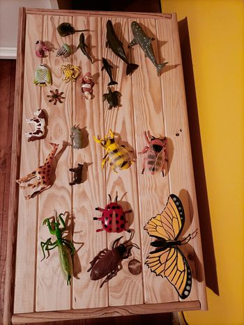 Lot figurines animaux : insectes géants, mer, savane