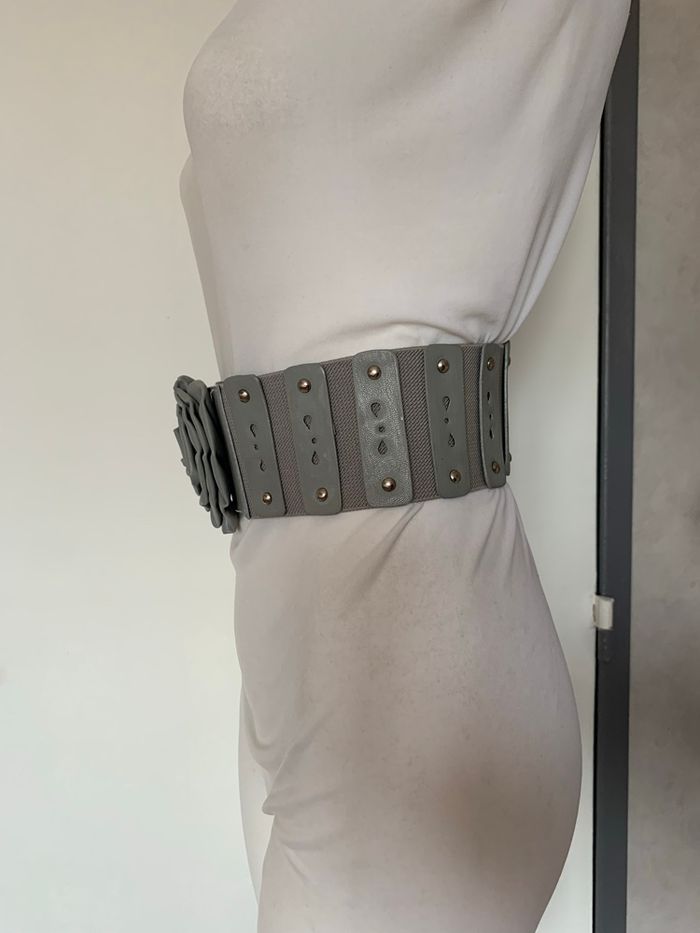 Ceinture grise - photo numéro 6