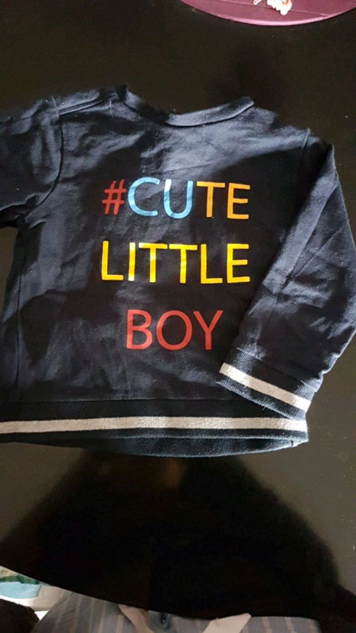 Lot de pulls 18 mois - photo numéro 2