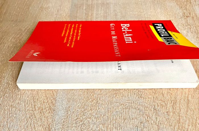 Guy de Maupassant Bel Ami - Hatier - Profil Bac - Profil d'une oeuvre - photo numéro 6