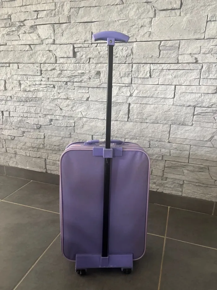 Valise pet shop - photo numéro 3