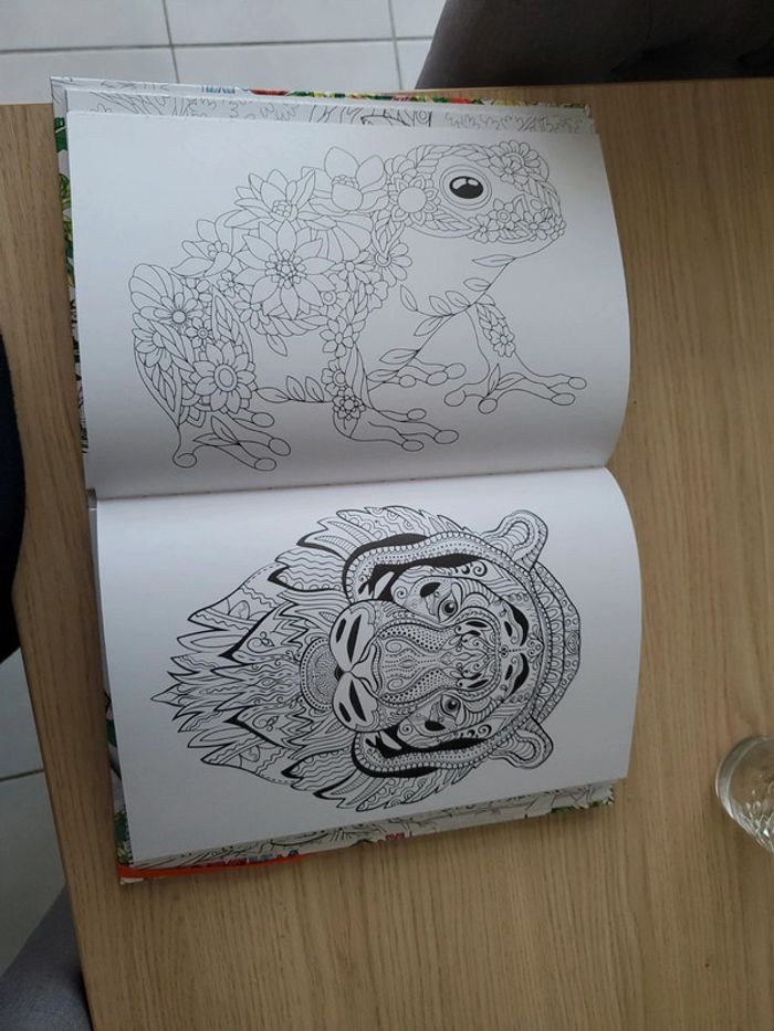 Livre coloriage - photo numéro 3