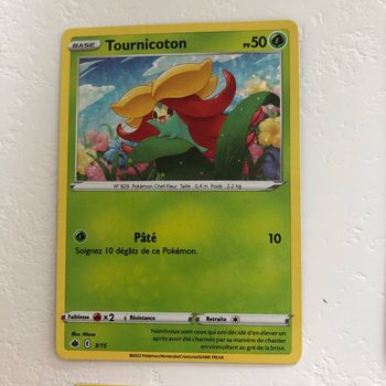Pokémon tournicoton