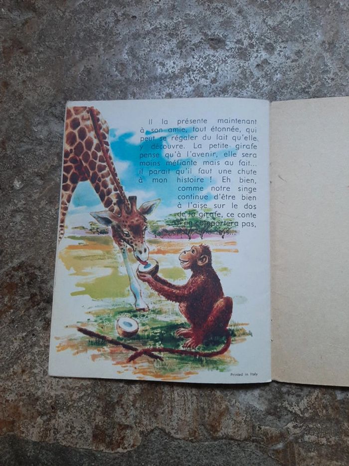 Le Girafeau et le petit singe - photo numéro 2