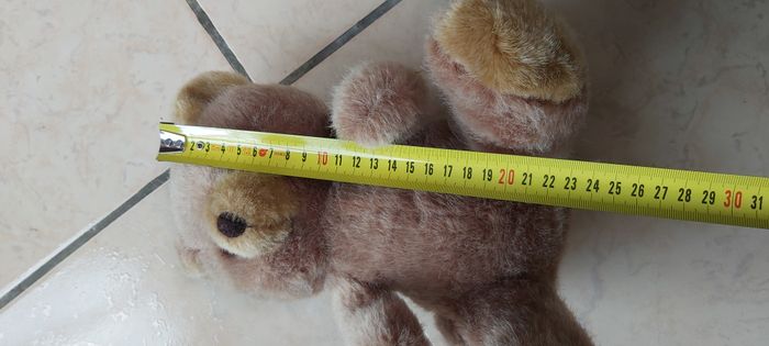 Ourson - photo numéro 9