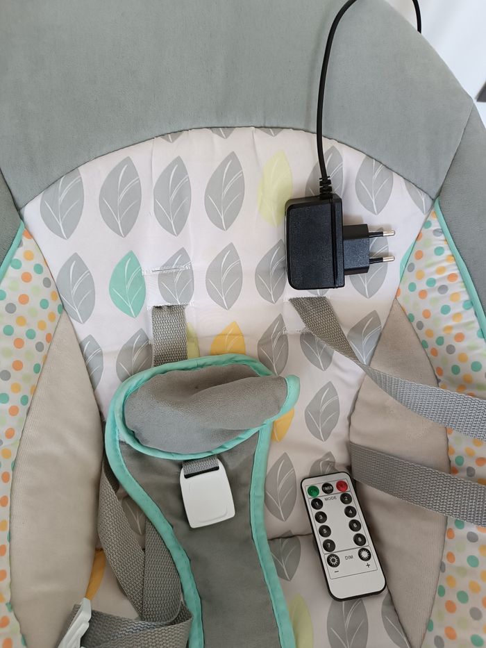 Balançoire électrique - photo numéro 2