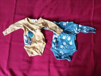 bodys mickey