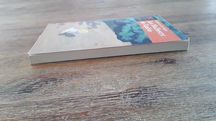 Livre Les malheurs de Sophie - Contesse de Segur - photo numéro 4