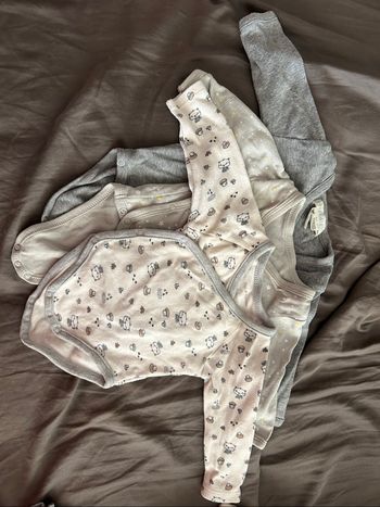 Lot body