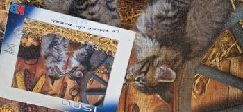 Puzzle 1500 pièces - Bon / TB état