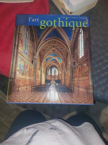Livre l'art gothiques