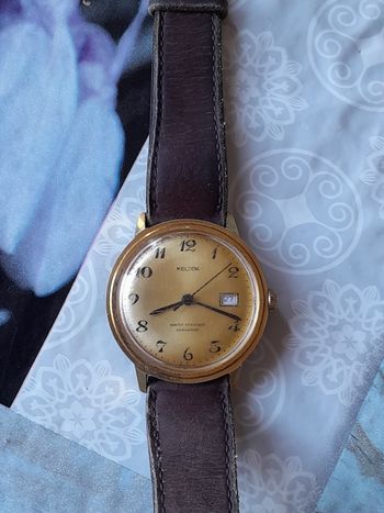 Montre Kelton (Plaque OR )