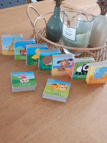 Lot de mini livres animaux