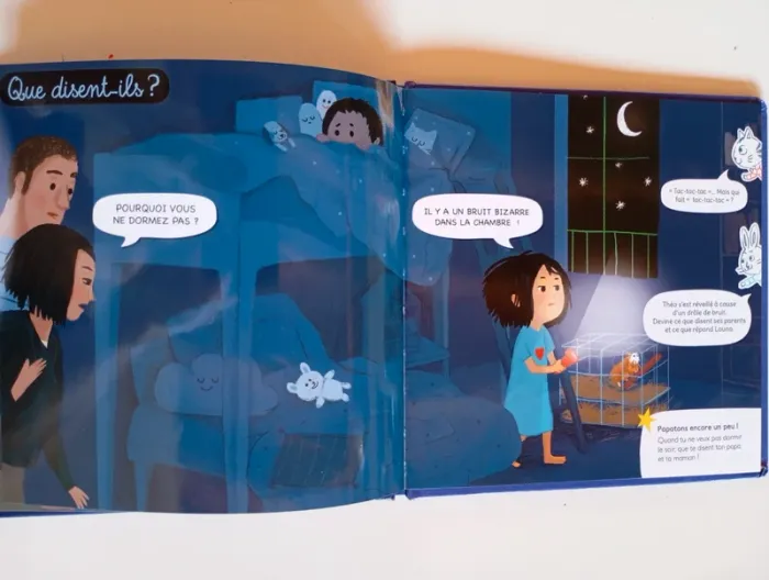 Qui fait du bruit la nuit ? - photo numéro 5