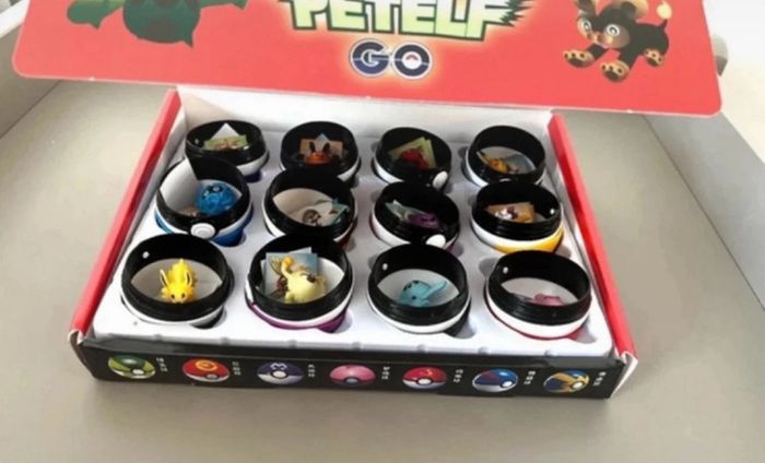 Pokeballe Pokémon Go - photo numéro 4