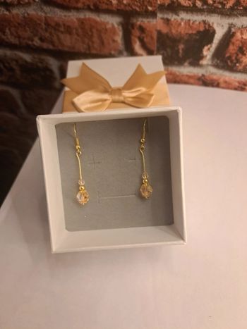 Boucles d'oreilles pendante pêche et doré