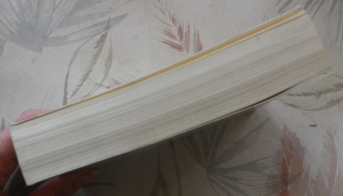 Un tout petit mensonge de Francesca Clementis Ed. Piment - photo numéro 4