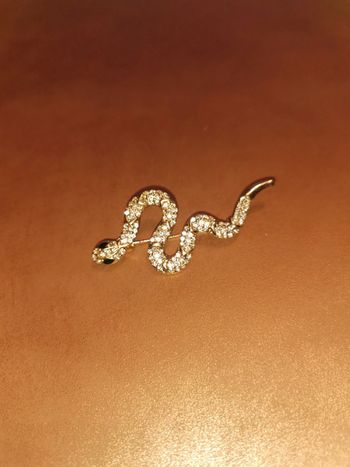 Broche femme serpent doré