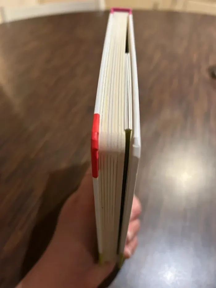 Livre Mes premières petites bêtes Patapon avec poster à déplier - photo numéro 14