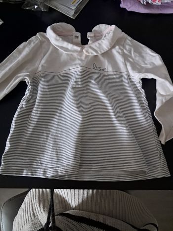 Polo obaibi