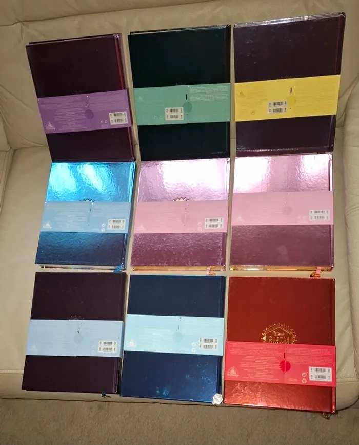 Lot de carnets livres cahiers castle collection disney princesse - photo numéro 14