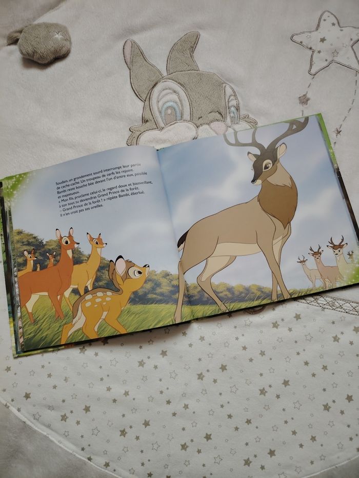 Livre Bambi - photo numéro 3