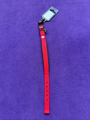 Collier confort chien sellier martin taille S neuf