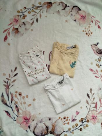 Lot tee shirt manches courtes