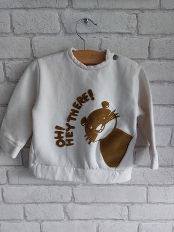 Sweat Zara taille 9 mois / 74 cm