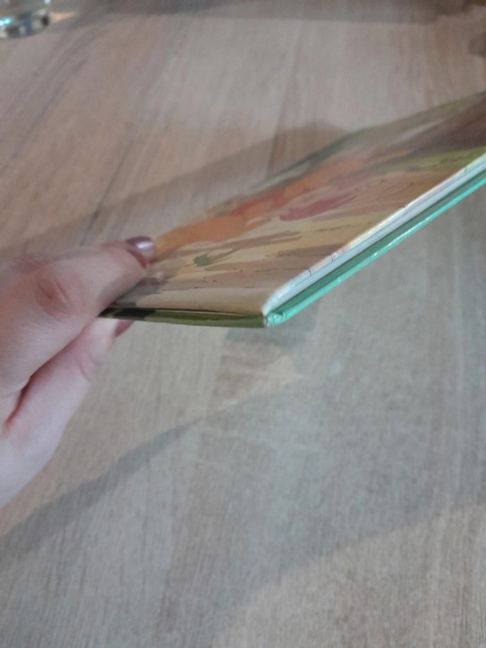 Winnie l ourson livre disney - photo numéro 3