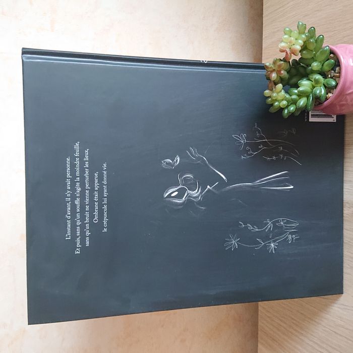 Bande Dessinée Ombrane - photo numéro 2