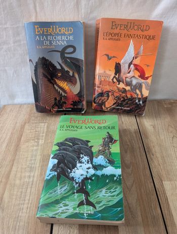 Lot livres Everworld