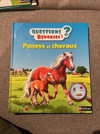 Questions ? Reponses ! Poneys et chevaux
