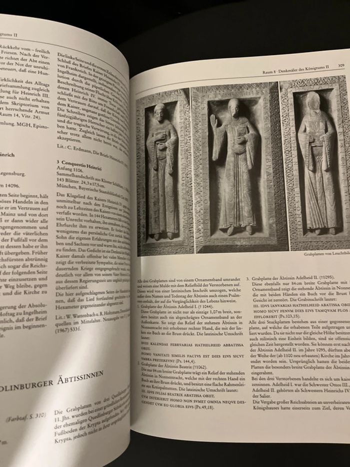 Introuvable sur Vinted ! Livre en allemand Das Reich der Salier 1024-1125 - photo numéro 10