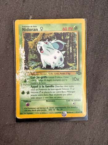 Nidoran 1995