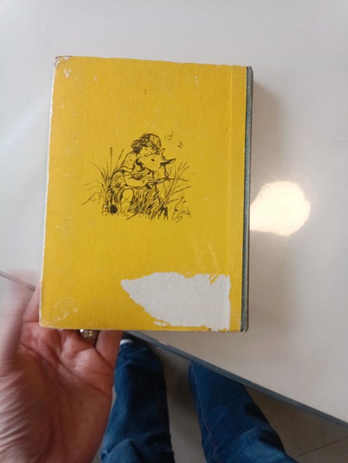 Heidi - photo numéro 2